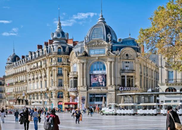 *appt Du Faubourg Boutonnet, 4 Personnes, Wifi* Apartment