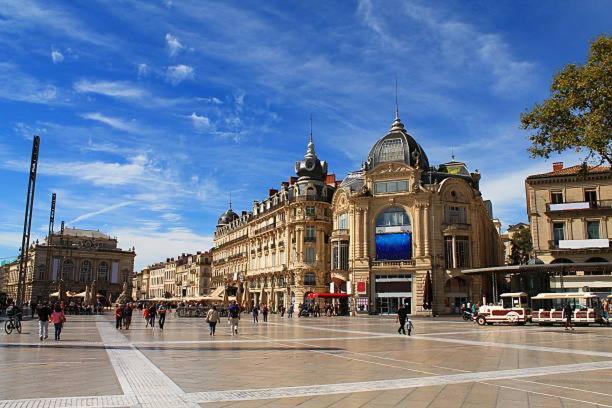 Apartment *appt Du Faubourg Boutonnet, 4 Personnes, Wifi*