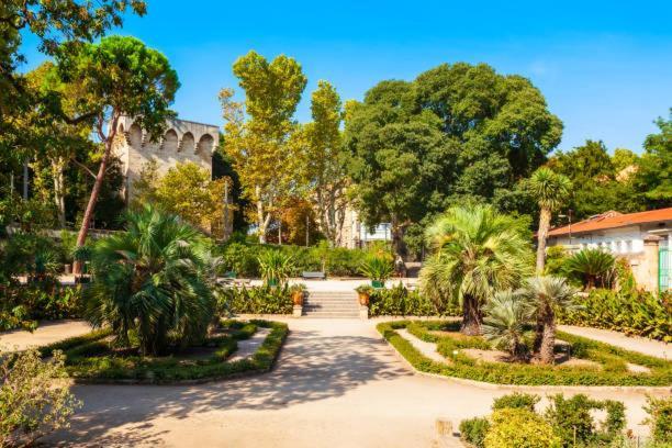 Apartment *appt Du Faubourg Boutonnet, 4 Personnes, Wifi*